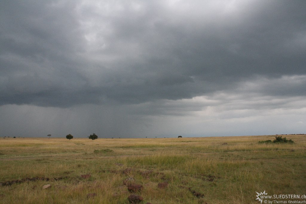 IMG 8227-Kenya, rain is coming to Masai Mara